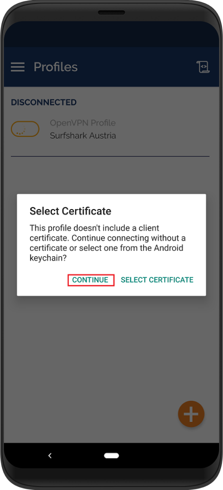Continue_without_the_certificate.png