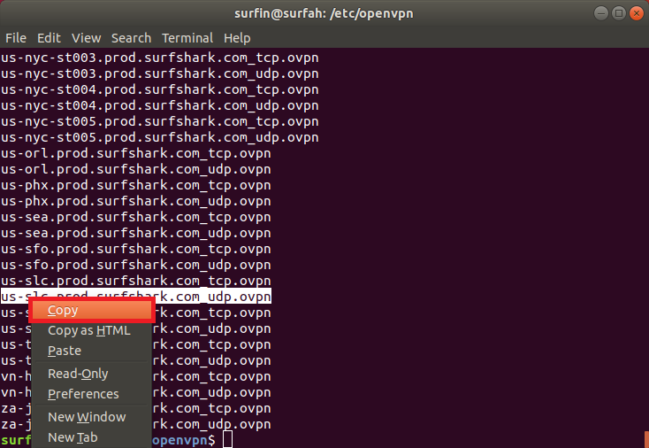 How to set up manual OpenVPN connection using Linux Terminal