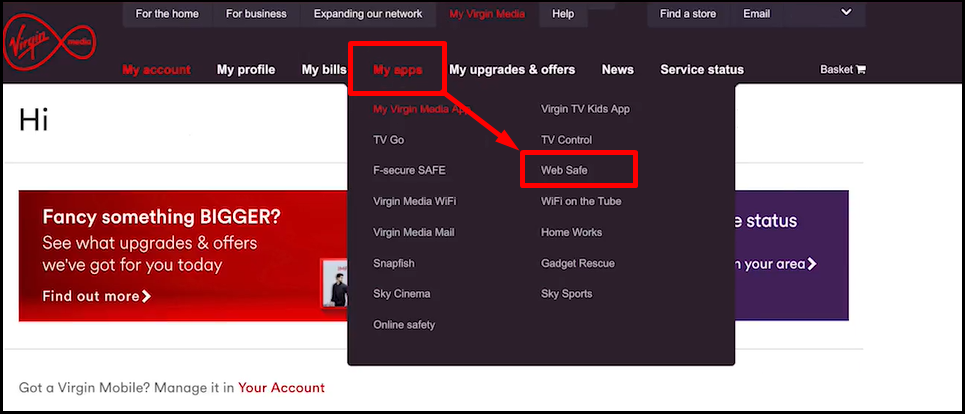 Virgin_Media_Web_Safe.png